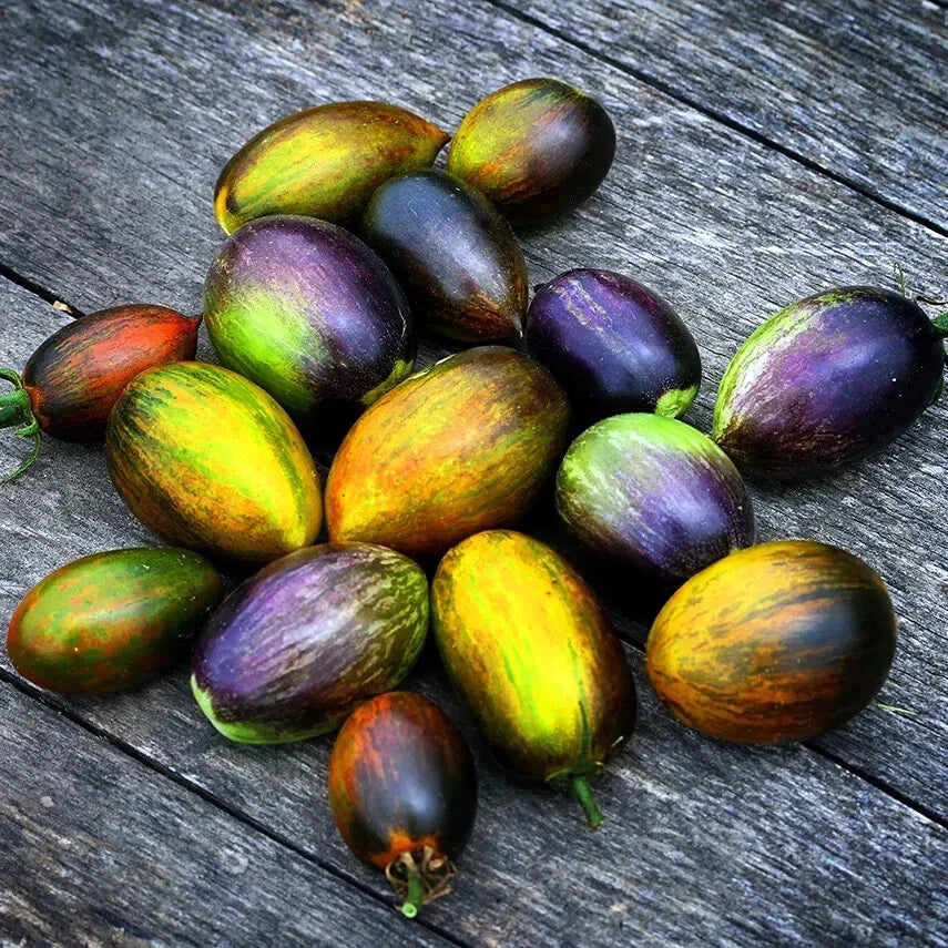 Colorful Brad's atomic grape tomatoes on a wooden surface