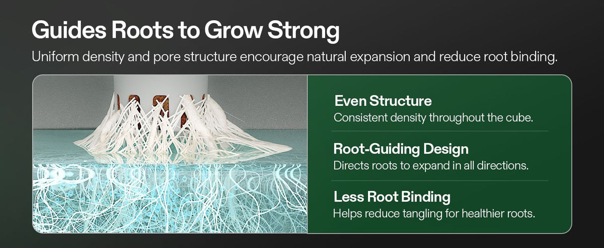 Promotional graphic for a root guidance in a seed starting plug, showing a white porous root structure growing in a blue water-like container with text callouts on the right: 'Even Structure,' 'Root-Guiding Design,' and 'Less Root Binding.' The headline at the top reads 'Guides Roots to Grow Strong.