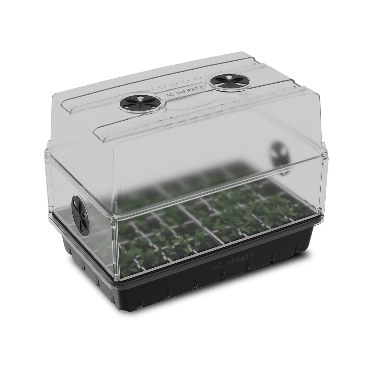Clear seed propagator dome with small plants inside on a white background
