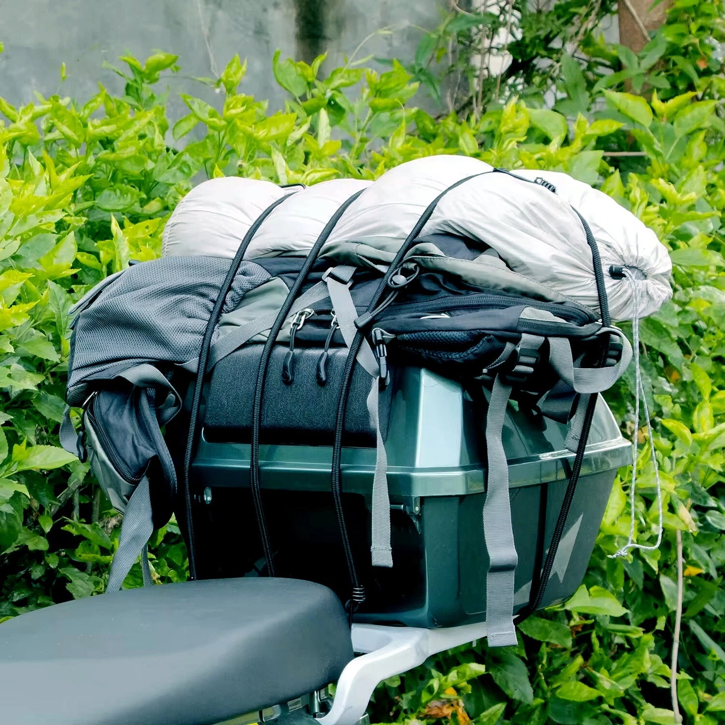 Motorcycle with bungee cords strapping down luggage and sleeping bag against green foliage.