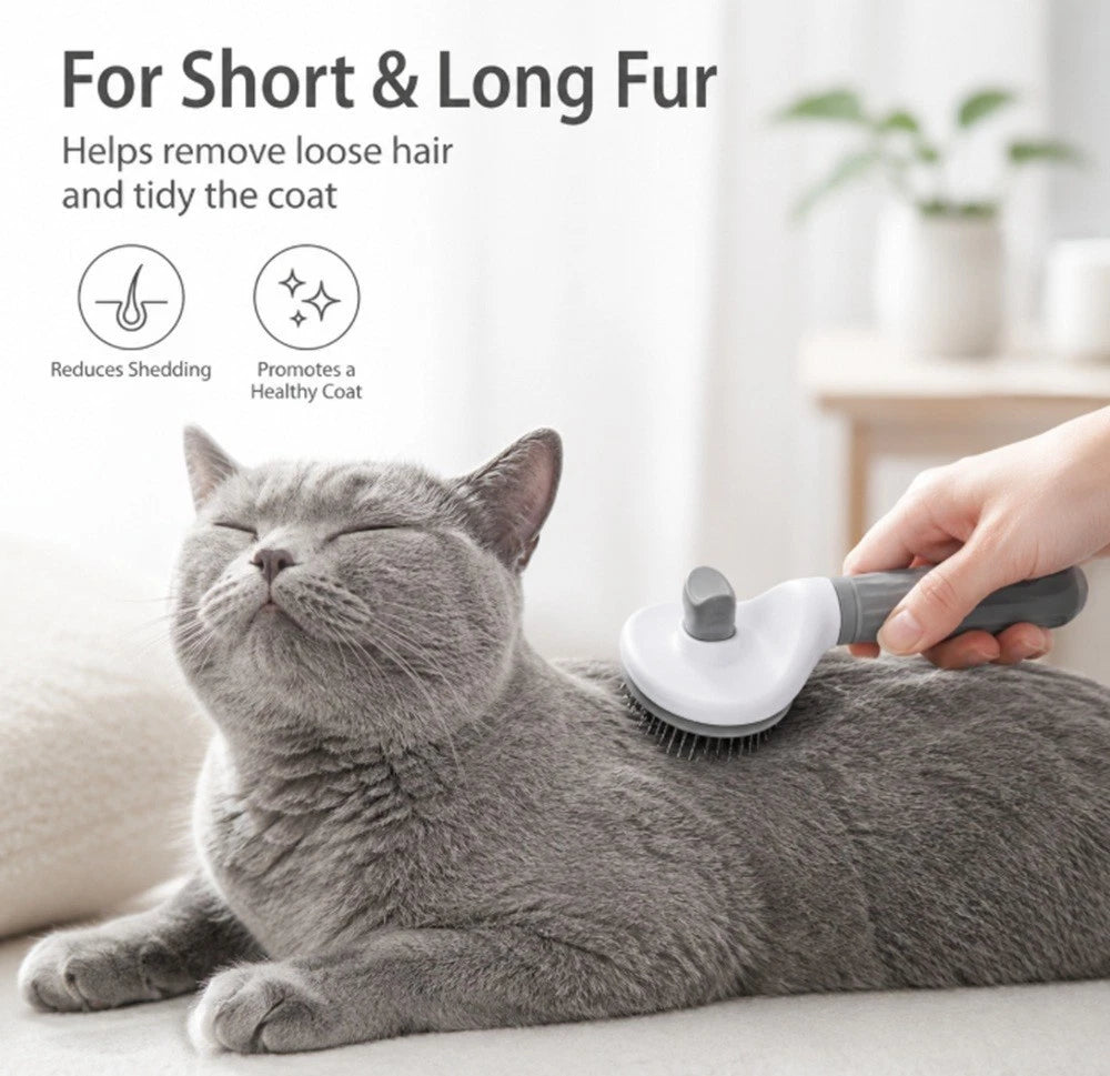 Cat being groomed with a pet grooming brush, with text about grooming benefits on a light background.