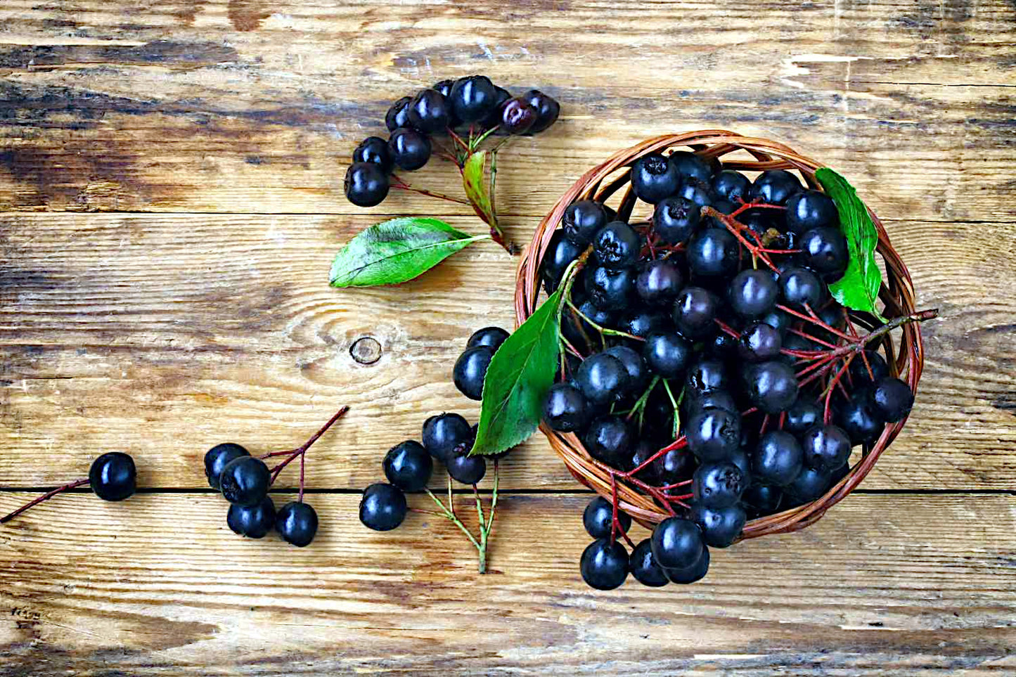 Basket of black Chokeberries with leaves on a wooden surface