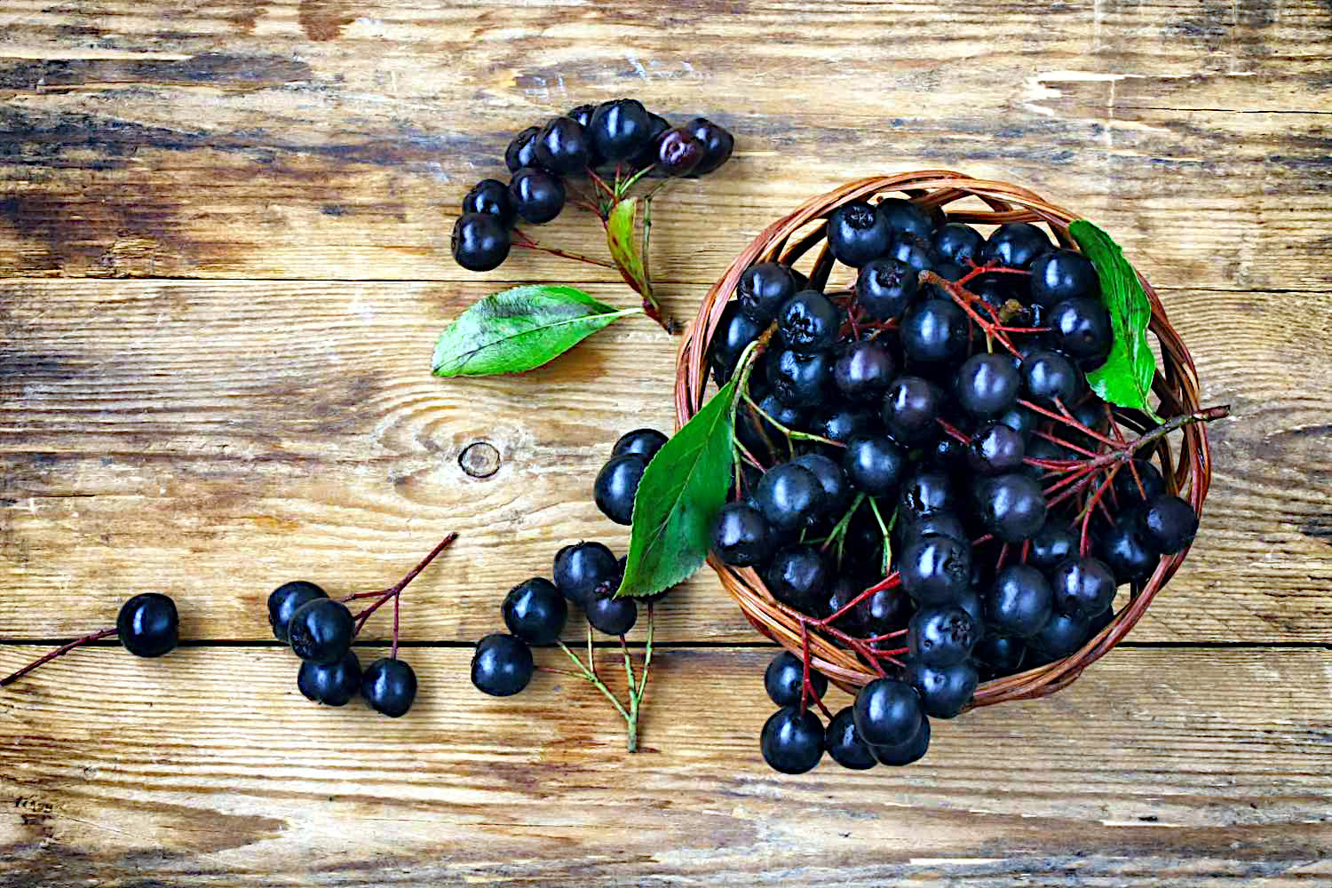 Basket of black Chokeberries with leaves on a wooden surface