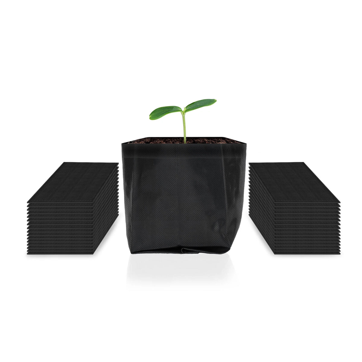 Black fabric grow bags with a single green seedling on a white background