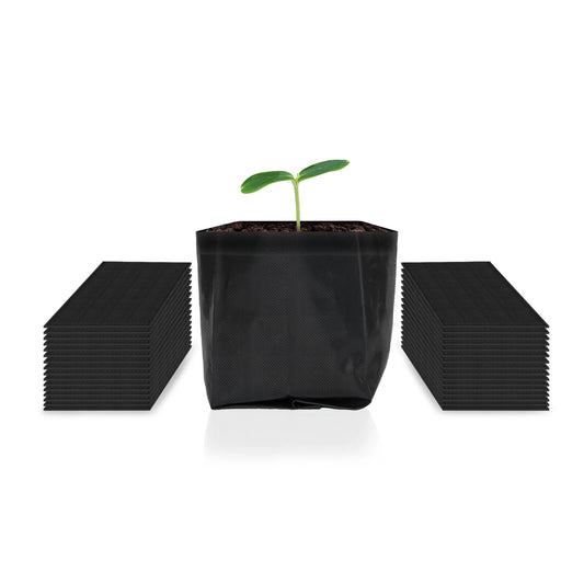 Black fabric grow bags with a single green seedling on a white background