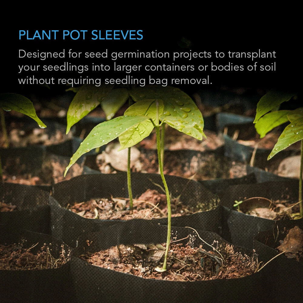 Seedlings in black fabric grow bags with text about seed germination and transplanting.
