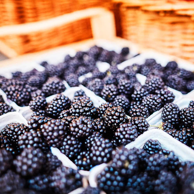 Close-up of blackberries with a blurred wicker basket in the background