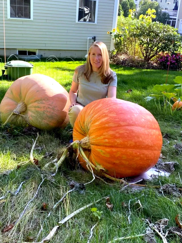 Woman sitting between two large Big Max pumpkins in a garden.