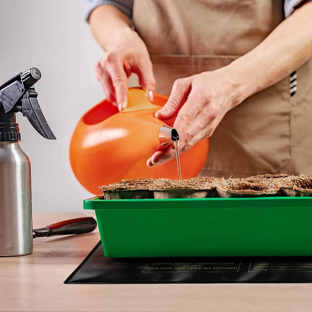 A person wearing a tan apron pours water from an orange pitcher into seed-starting trays on a green tray to keep water off of black seed starting heat mat, with a metal spray bottle on a tabletop nearby.