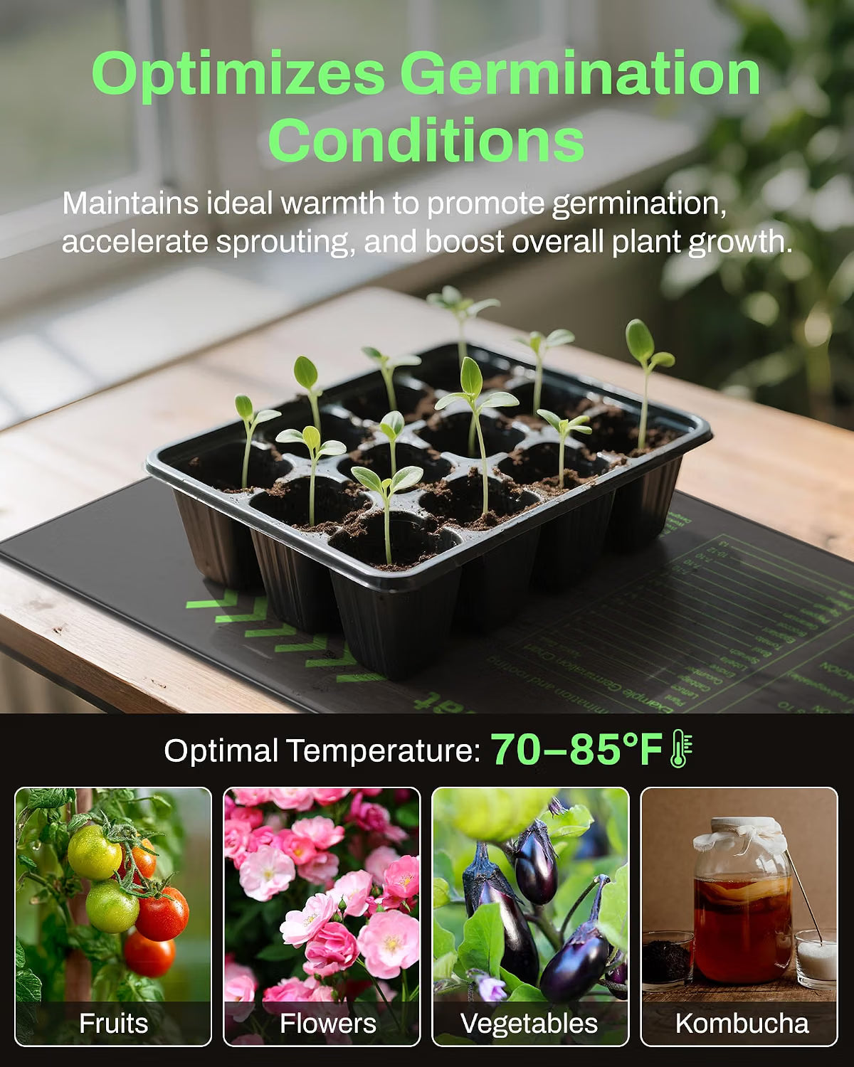 Seedling tray on a heating mat with text about optimizing germination conditions.