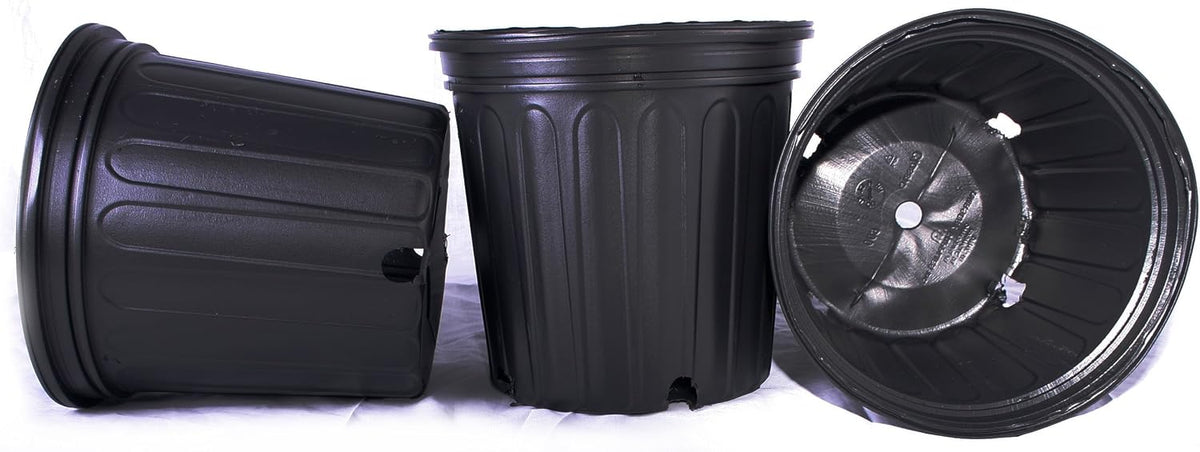 Three black plastic nursery pots on a white background