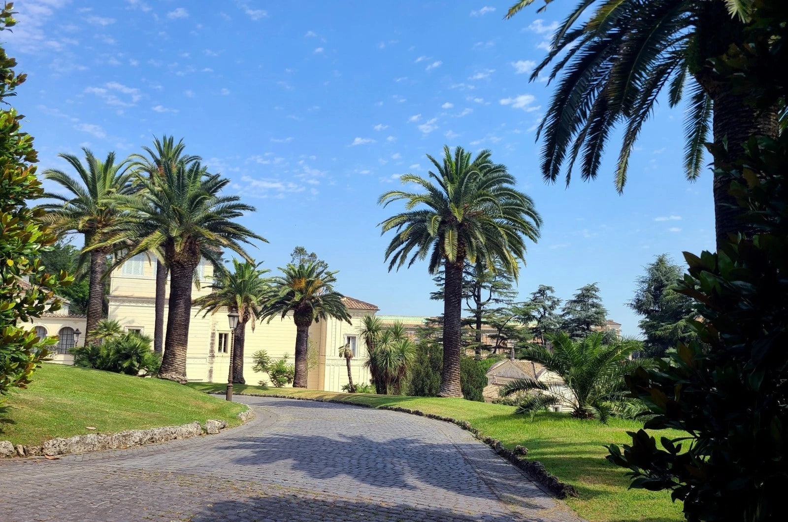 Paved driveway leading to a building with canary island date palm trees and greenery
