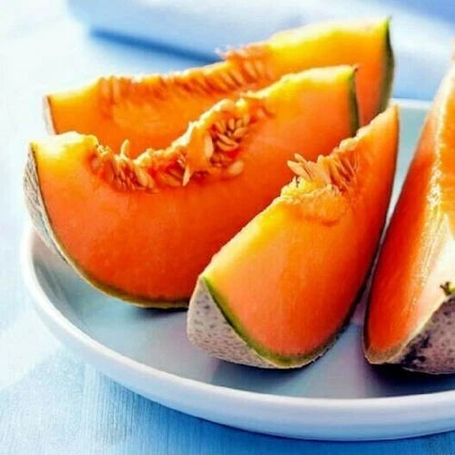 Slices of Charentais cantaloupe on a white plate with a blue background