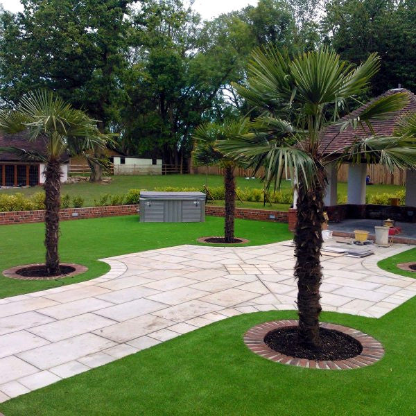 Patio area with windmill palm trees, hot tub, and paved walkway in a garden setting.
