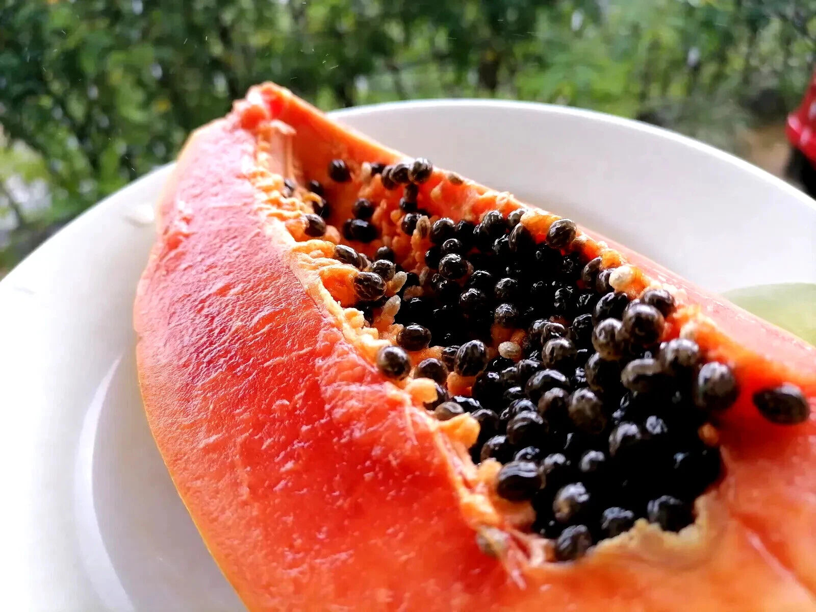 Halved waimanalo papaya with seeds on a white plate against a blurred green background