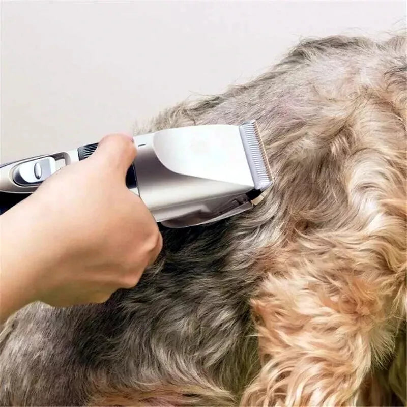 Person grooming a dog with a grooming tool.