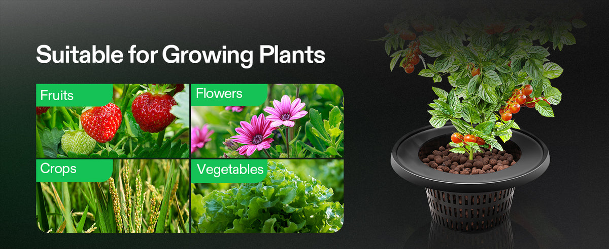 A black plastic planter pot filled with growing plants and fruit, shown beside the text 'Suitable for Growing Plants' and four inset photos of fruits, flowers, crops, and vegetables.