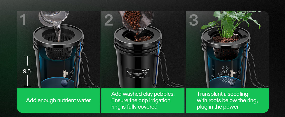 Three-panel instructional graphic showing how to use a DWC hydroponic bucket drip irrigation planter: adding nutrient water, adding washed clay pebbles, and transplanting a seedling with roots below the ring, with green text banners at the bottom.