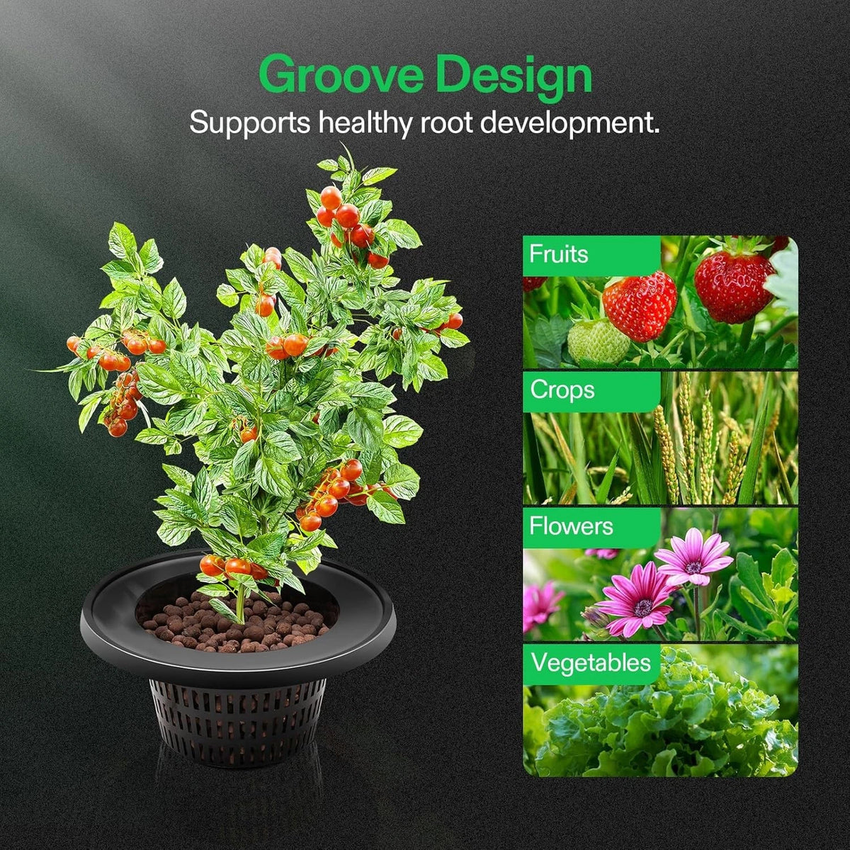 A potted plant with green leaves and red berries under the text 'Groove Design Supports healthy root development.' on a dark background, with four inset panels showing fruits, crops, flowers, and vegetables on the right.