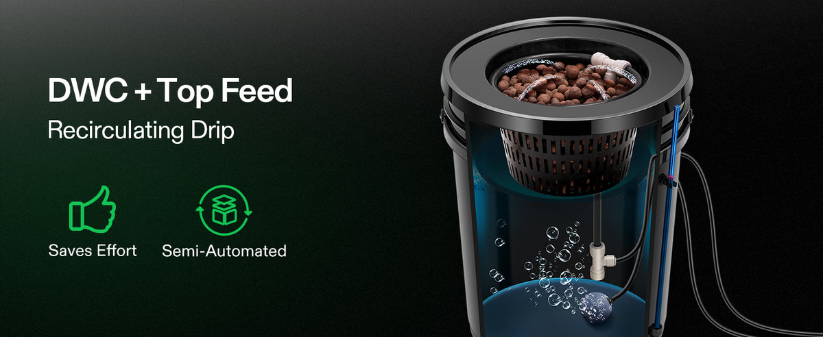 A DWC + Top Feed recirculating drip aquarium system shown on a dark background with promotional text on the left. The product features a black top lid with a bean hopper, a blue water chamber, bubbles rising, and a visible power cord.