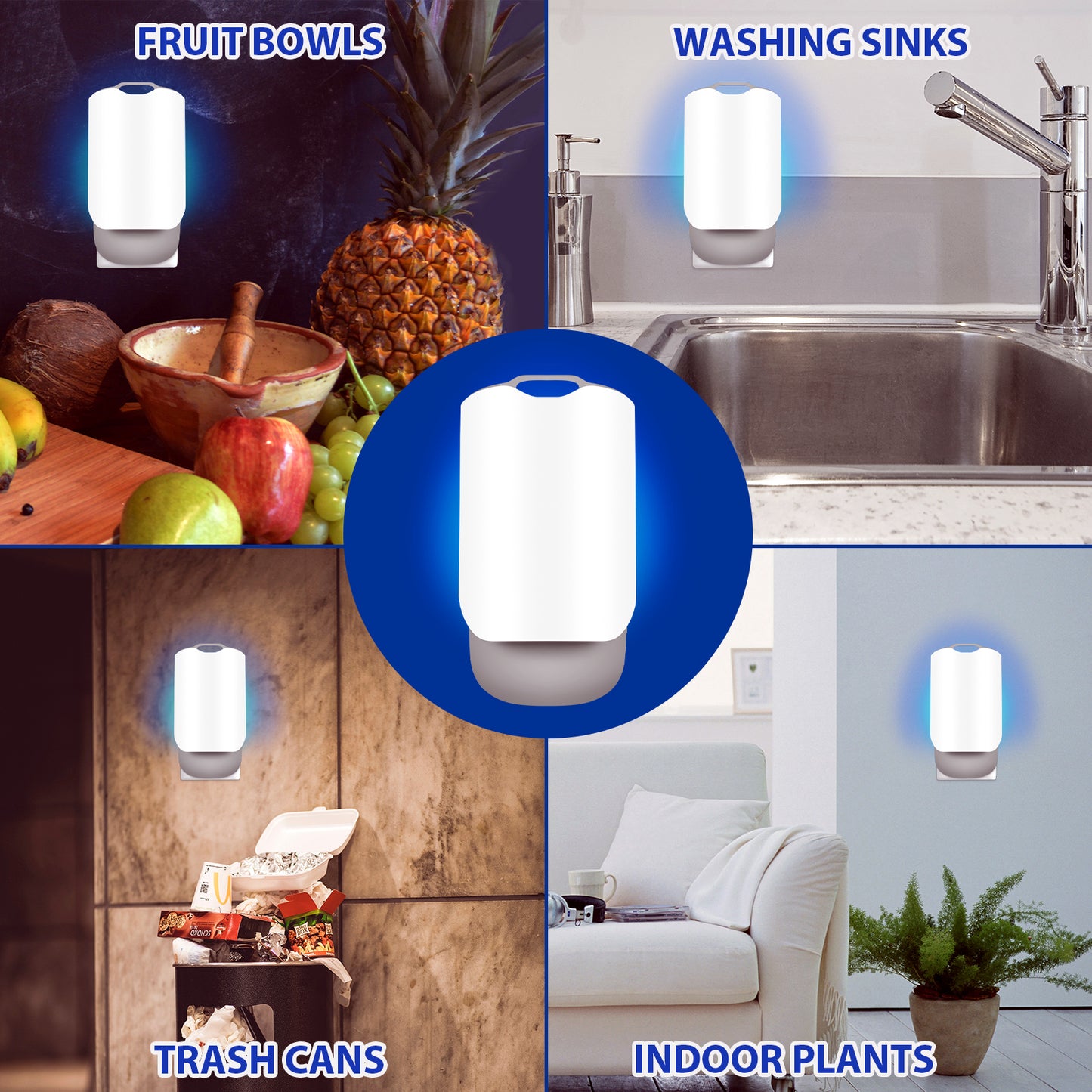 Plug in UV fruit fly traps are effective around fruit bowls, washing sinks, trash cans, and indoor plants with a night light in each category.