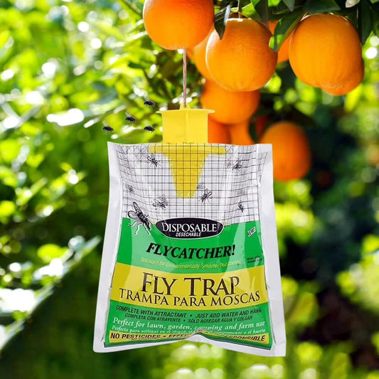 Fly trap bag hanging from an orange tree with oranges in the background
