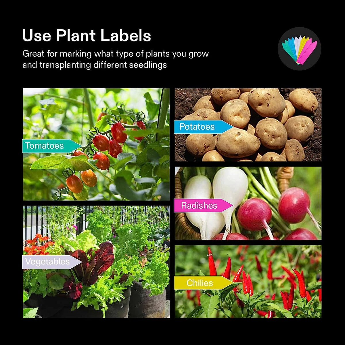 An informational graphic titled 'Use Plant Labels' on a black background, showing six labeled vegetable photo panels: tomatoes, potatoes, radishes, vegetables, and chilies. It explains that plant labels are useful for marking what type of plants are grown and transplanted.