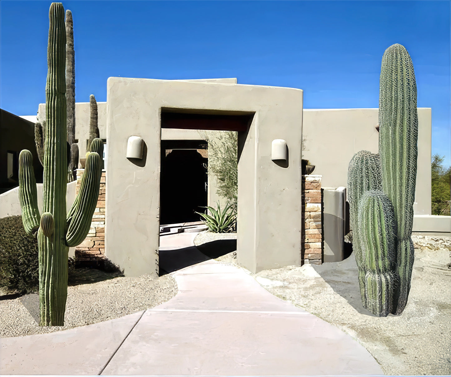 Modern building with Saguaro giant cacti in a desert landscape