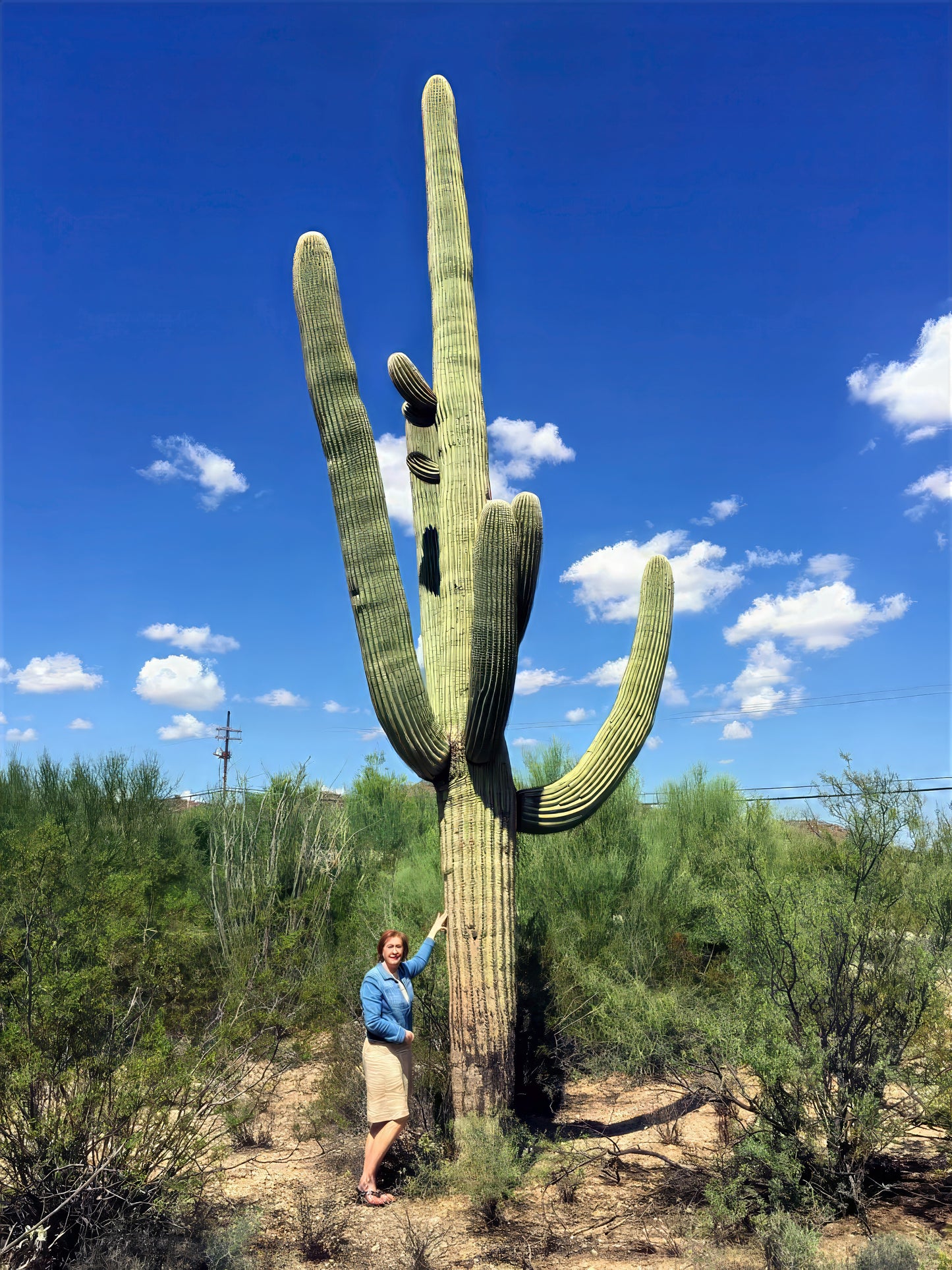 Person standing next to a large saguaro cactus in a desert landscape with blue sky and clouds.