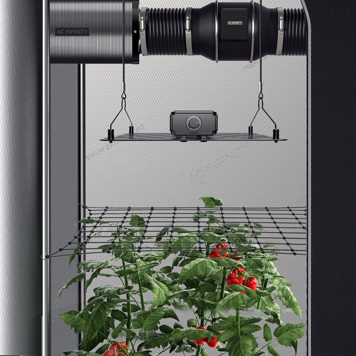 Indoor gardening setup with plants under a grow tent trellis, shelves, and a light fixture inside a glass enclosure.