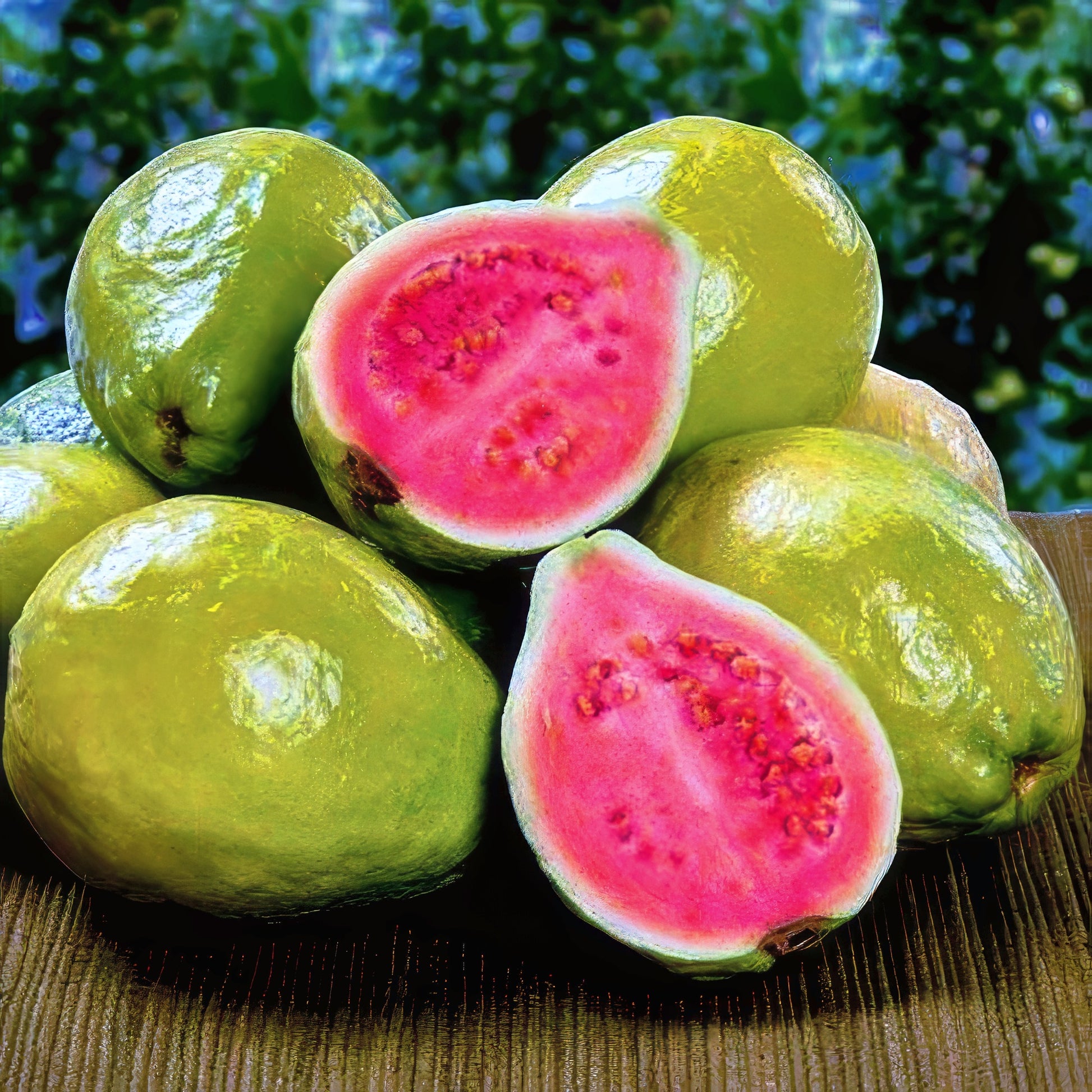 Pink guava fruit (Ruby Supreme guava tree) stacked on table with green background. (Psidium guajava)
