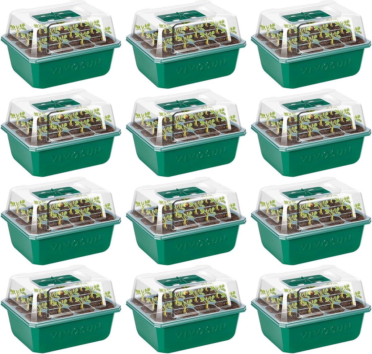 Twelve green VIVOSUN seed starter trays arranged in a 3x4 grid on a white background, each with a clear plastic dome lid and visible seedlings.