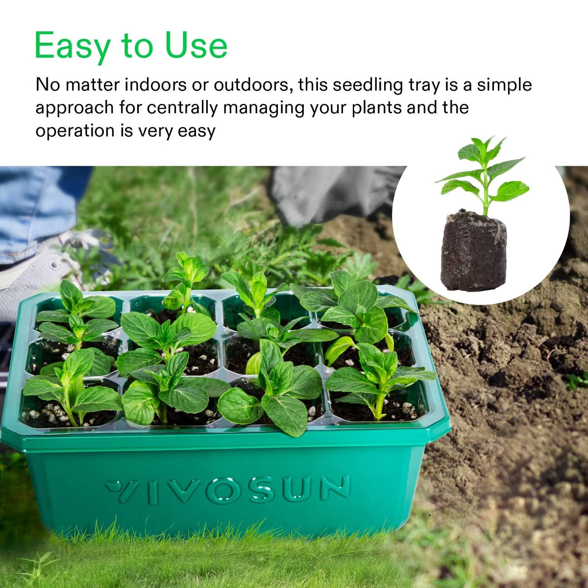 A teal VIVOSUN seedling tray holding several small green seedlings, shown outdoors on grass with soil in the background. Text at the top reads 'Easy to Use' and includes a circular inset of a single seedling in a potting bag.