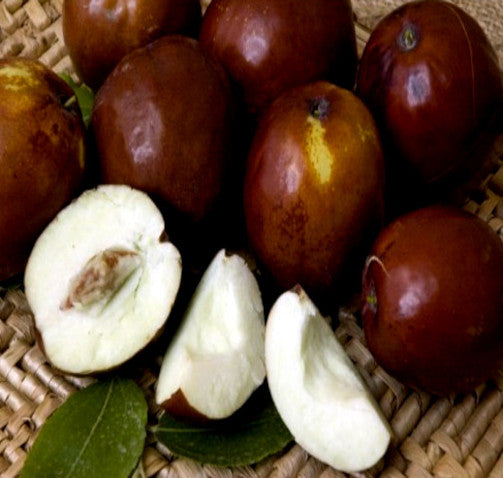 Jujube fruits with a few cut open on a woven surface
