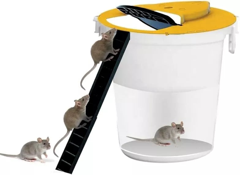 flip & slide bucket lid showing mice going up ladder and trapped inside of bucket