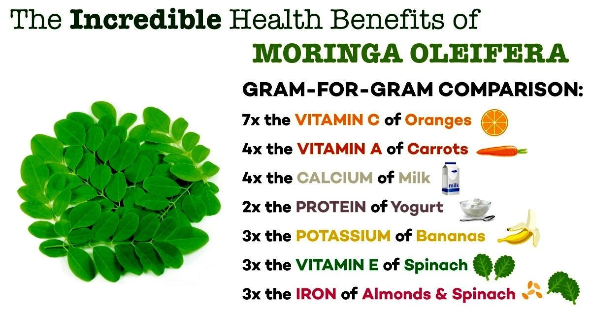 Health benefits of Moringa Oleifera with visual comparisons on a white background