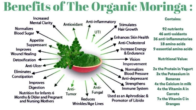 Diagram of the benefits of organic moringa with a central image of moringa leaves.