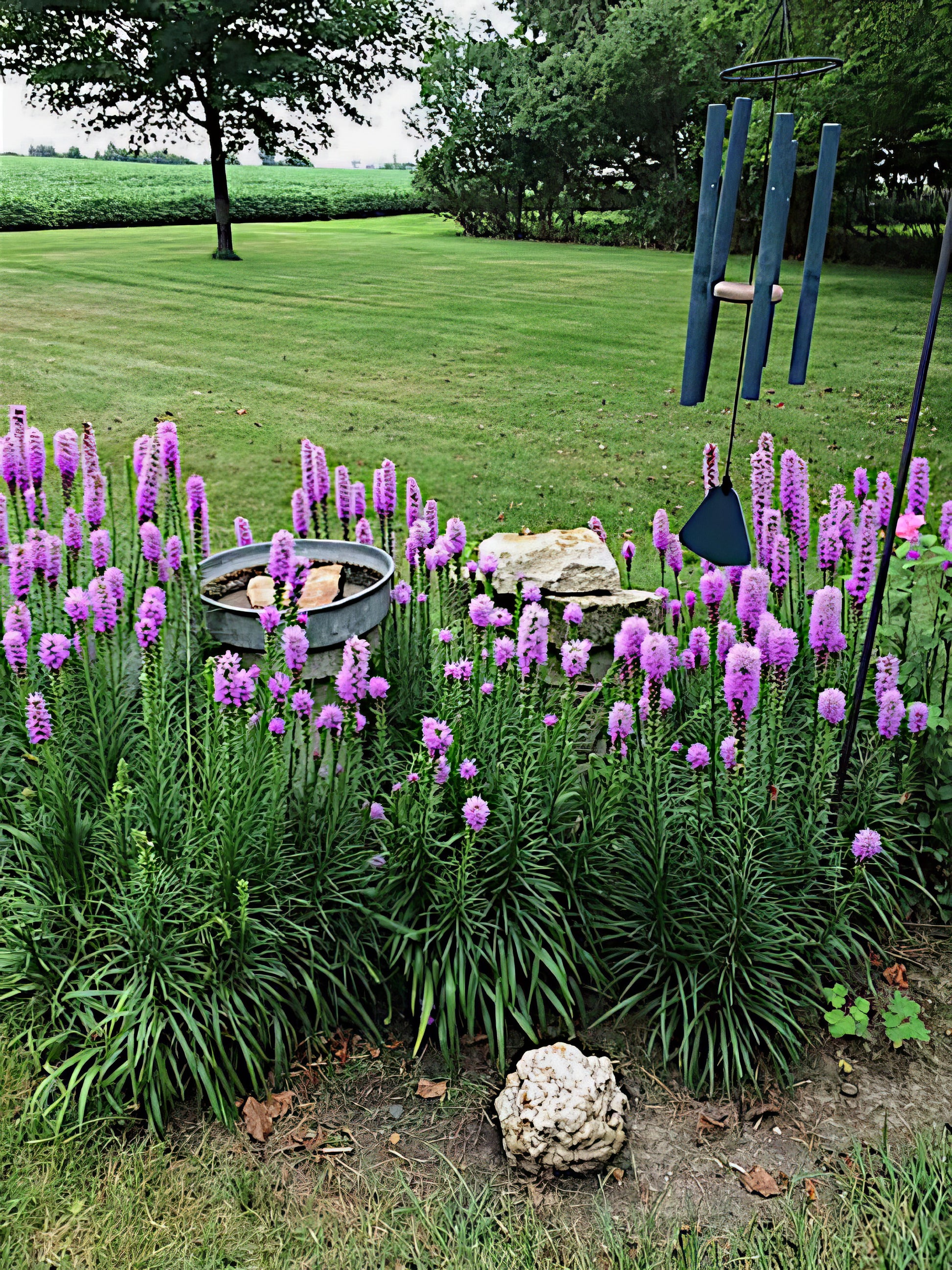 Garden scene with Purple Blazing Star flowers, a water feature, and a wind chime.