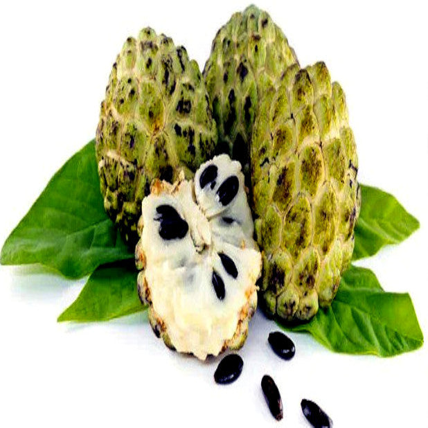 Sugar apple fruits with green leaves and black seeds in white background. (Annona squamosa)