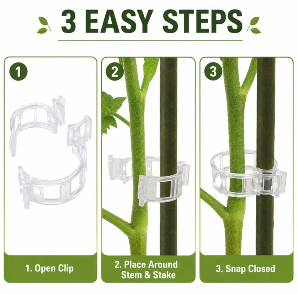 Step-by-step guide on how to use a plant support clip with green leaves and text.