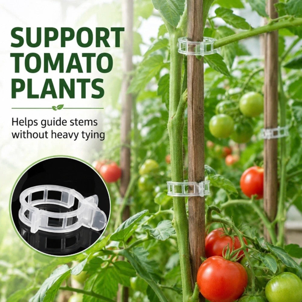 Tomato plants supported by clear plastic plant support clips with text on plant care.