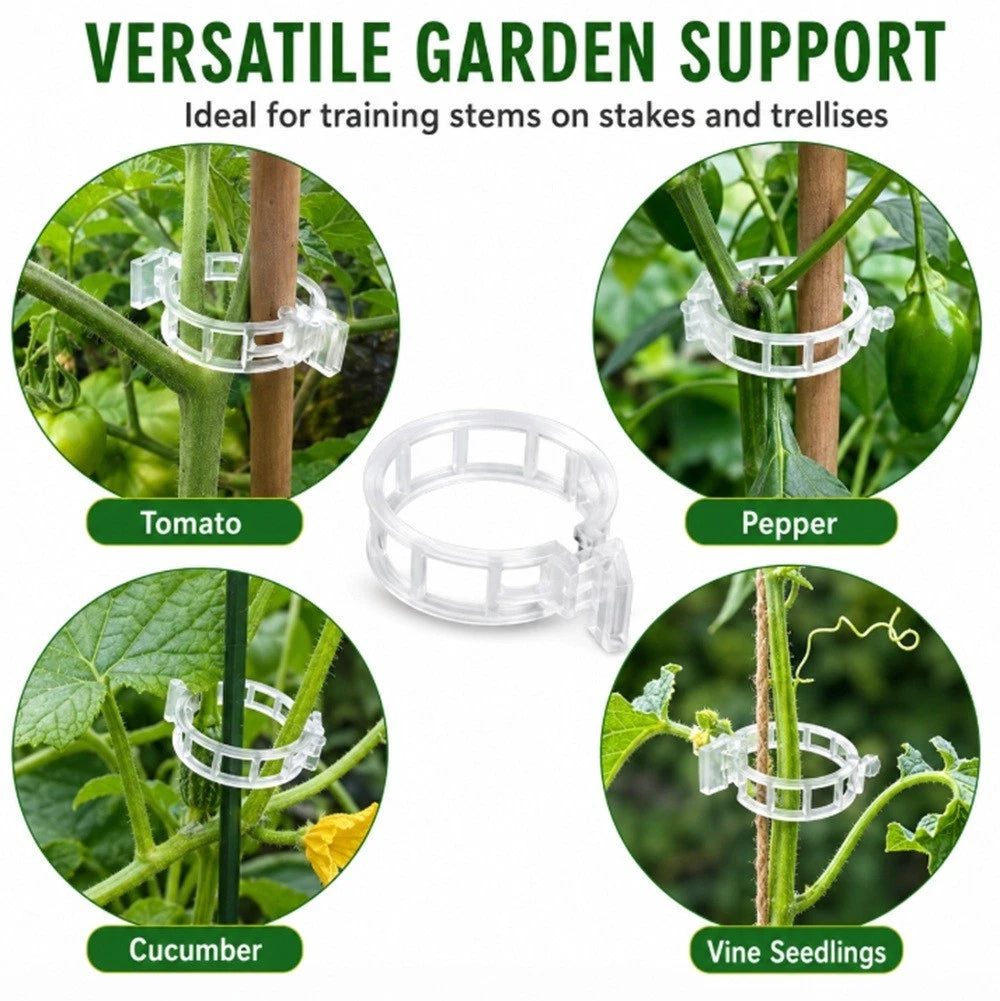 Garden plant support clips for training stems on stakes and trellises with examples on tomato, pepper, cucumber, and vine seedling use.