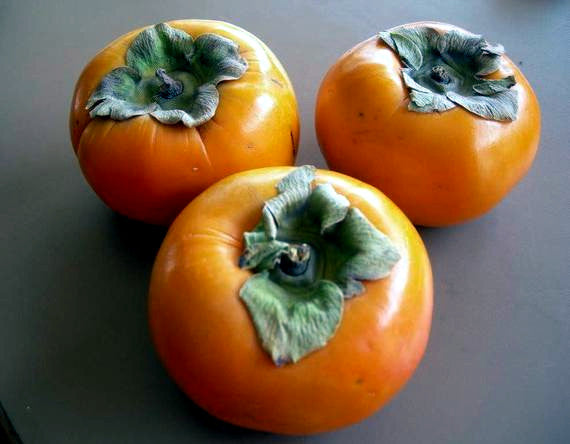 Three persimmons on a gray surface