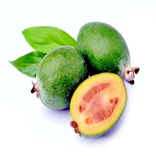 Split view of cut Pineapple guava fruit with pink flesh inside and white background. (Feijoa sellowiana)