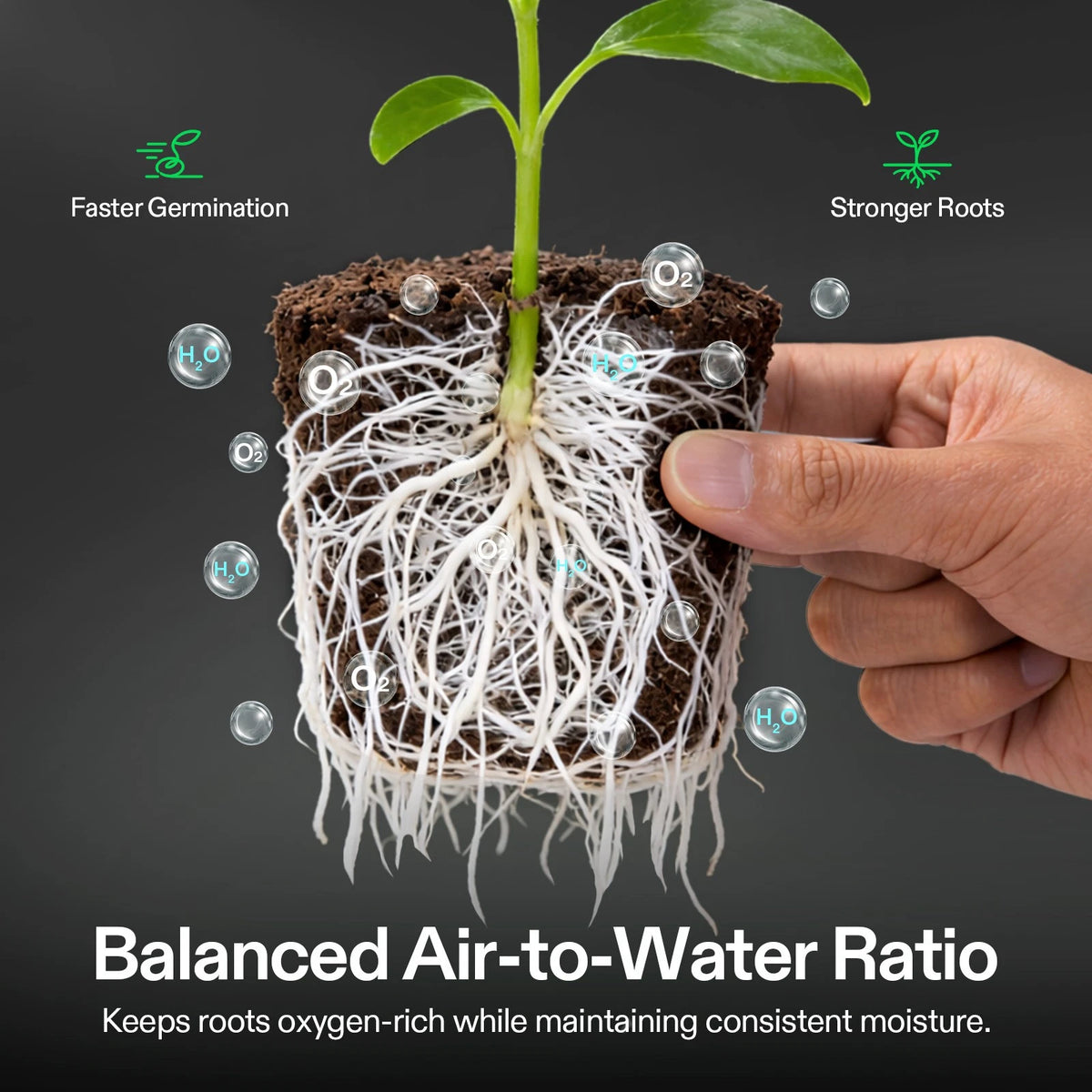 A hand holds a small plant growing in VIVOSUN seed rooter plug with exposed roots against a dark gray background, with overlaid text and graphics explaining root health: 'Faster Germination,' 'Stronger Roots,' 'Balanced Air-to-Water Ratio,' and 'Keeps roots oxygen-rich while maintaining consistent moisture.'.