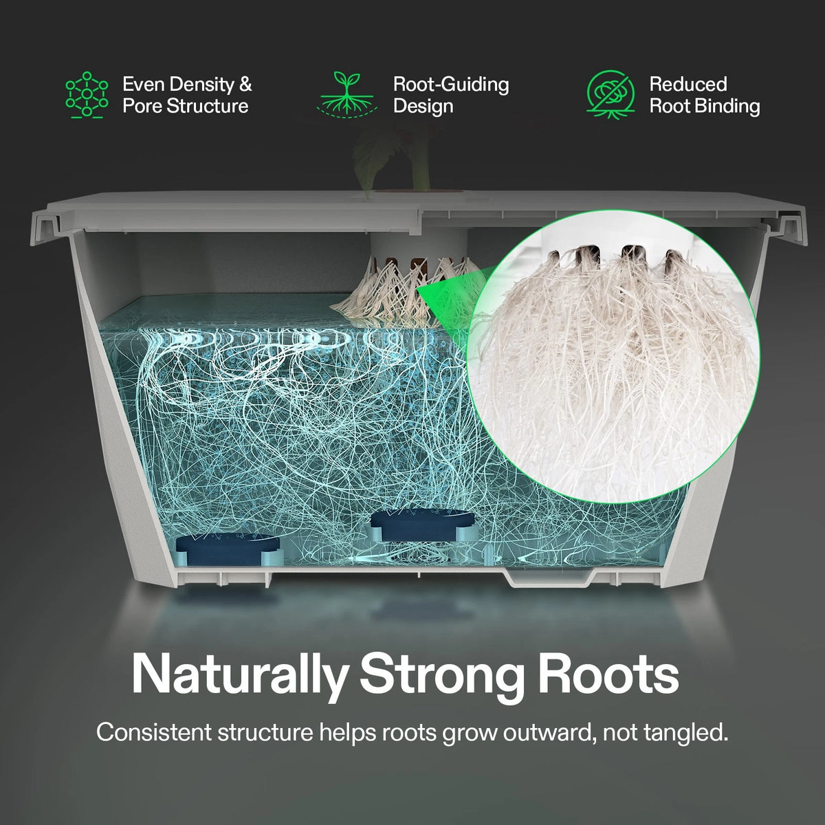 A transparent grow box with VIVOSUN seed rooter plug in a gray lid, shown with a root system inside and a circular inset highlighting dense white roots. Text at the top lists benefits like even density, root-guiding design, and reduced root binding, and text at the bottom says naturally strong roots.