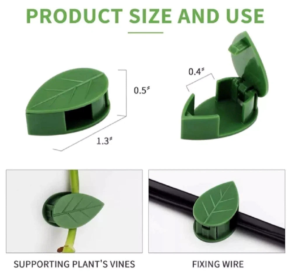 Green plant support clip with measurements and usage examples on a white background