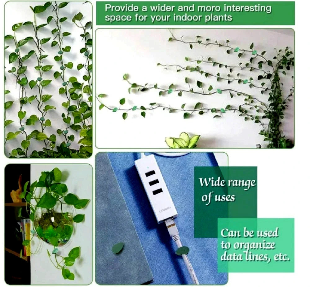 Collage of green vines held on wall with plant wall clips and text on a white background