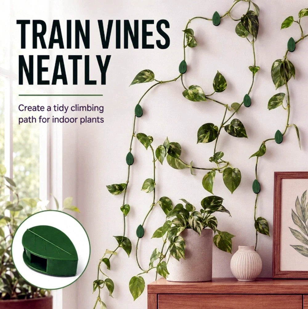 Indoor plant with climbing vines clipped to plant wall clips on a wall, with text 'Train Vines Neatly' and a small inset showing a green product.