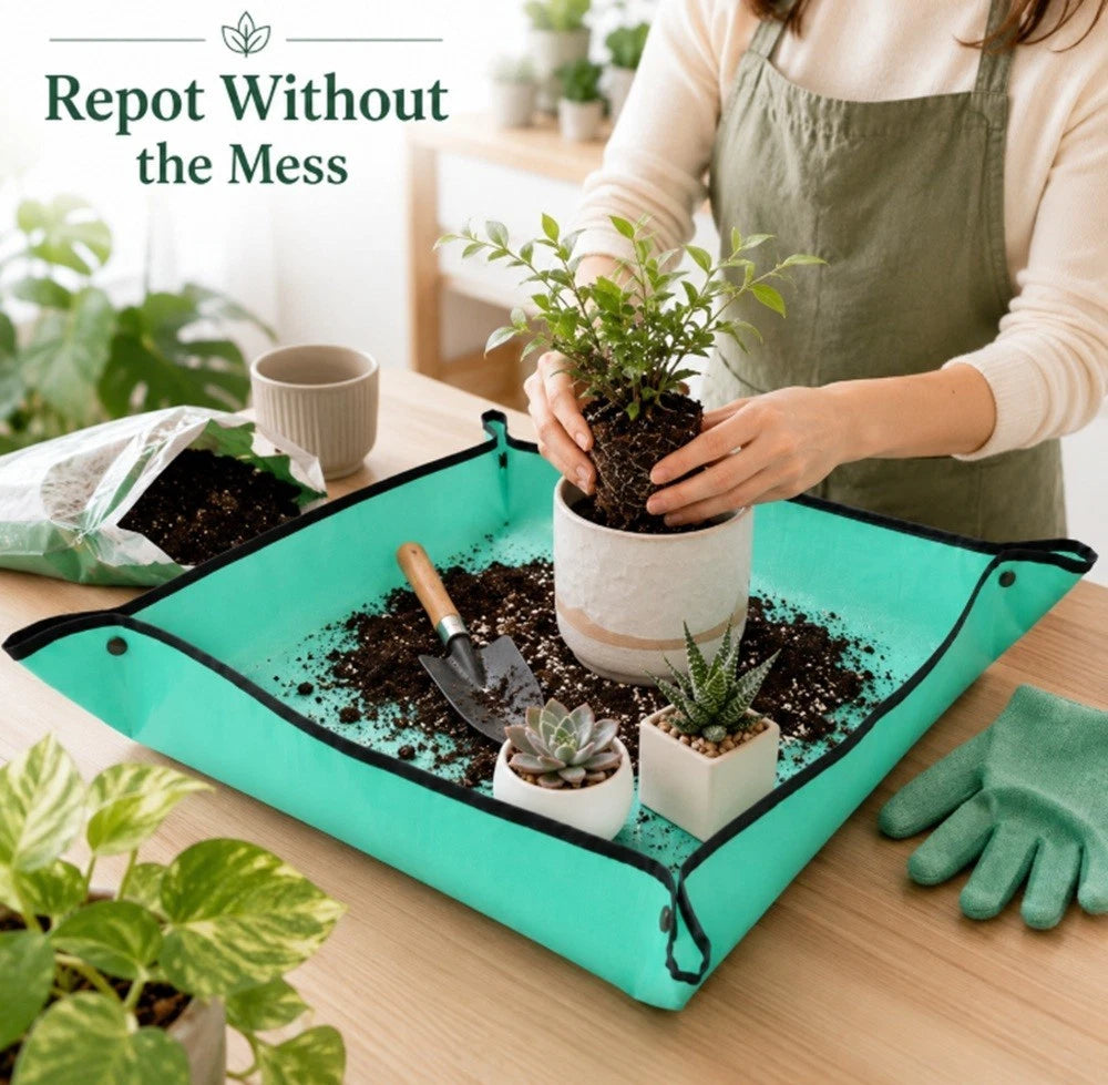Person repotting a plant using a green repotting mat on a wooden table.